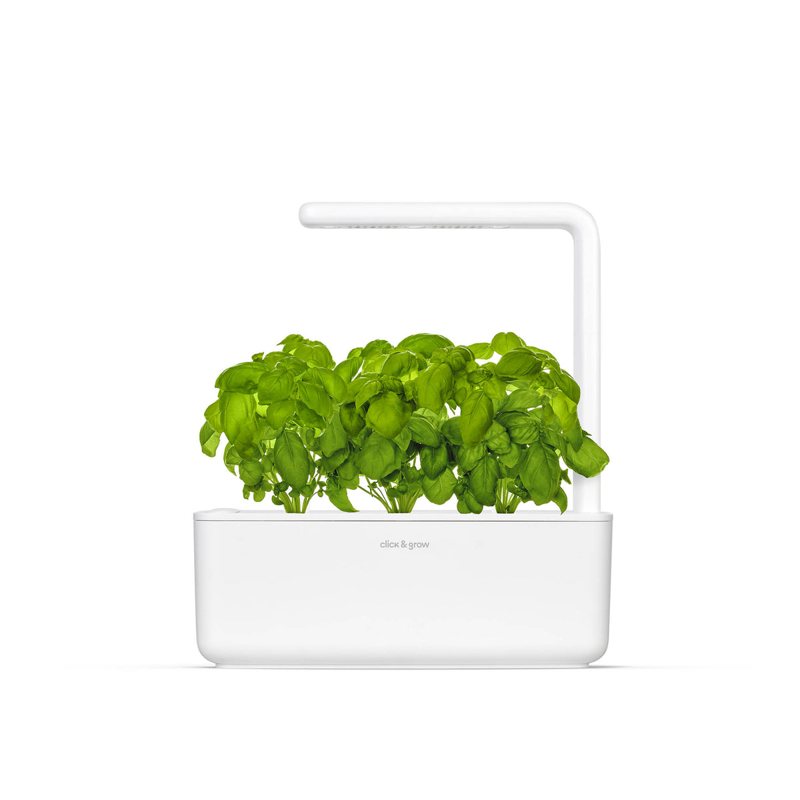 Click & Grow Smart Garden 3 in white with three basil plants (product image: Click & Grow)