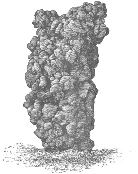 Darwin's Figure 2: engraving of a tall, knobbly tower-shaped worm casting made of earth