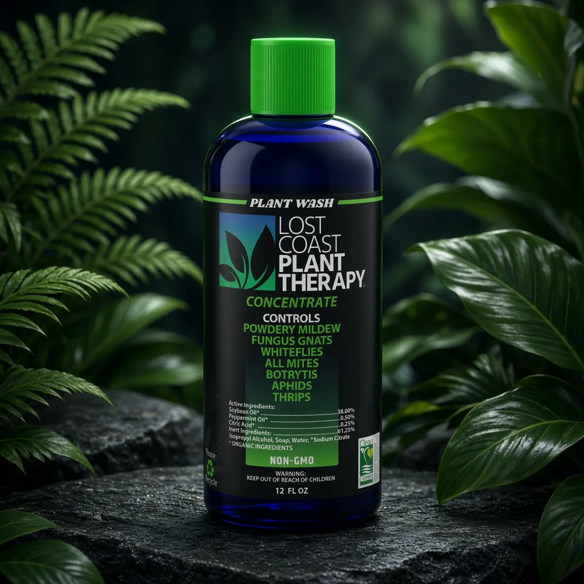 Lost Coast Plant Therapy Plant Wash 12 oz concentrate among ferns (AI-generated lifestyle image)