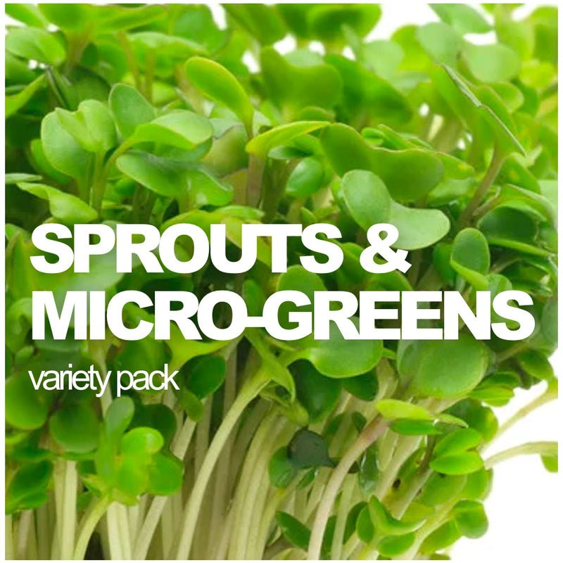 SeedsNow All-in-One Sprouts and Microgreens Variety Pack